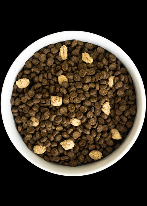 Open Farm Wild Ocean Grain-Free RawMix Cat Food  2.2lb - Poudre Pet and Feed Supply